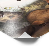 Woodchuck (Arctomys monax) Illustratie Foto Afdruk (Hoek)