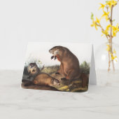 Woodchuck (Arctomys monax) Illustratie Kaart (Gele Bloem)