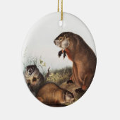 Woodchuck (Arctomys monax) Illustratie Keramisch Ornament (Rechts)