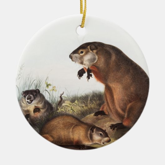 Woodchuck (Arctomys monax) Illustratie Keramisch Ornament (Voorkant)