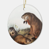 Woodchuck (Arctomys monax) Illustratie Keramisch Ornament (Links)