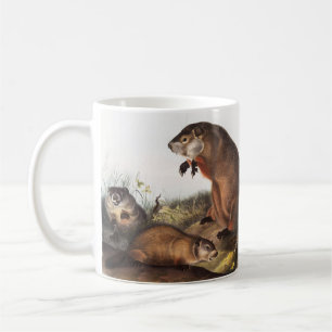 Woodchuck (Arctomys monax) Illustratie Koffiemok