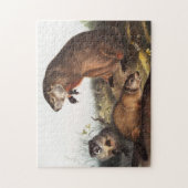 Woodchuck (Arctomys monax) Illustratie Legpuzzel (Verticaal)