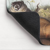 Woodchuck (Arctomys monax) Illustratie Muismat (Hoek)