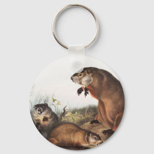 Woodchuck (Arctomys monax) Illustratie Sleutelhanger