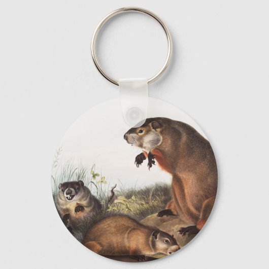 Woodchuck (Arctomys monax) Illustratie Sleutelhanger (Voorkant)
