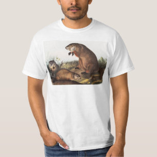 Woodchuck (Arctomys monax) Illustratie T-shirt