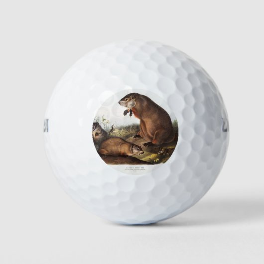 Woodchuck Camping Deco Gifts Golfballen (Voorkant)