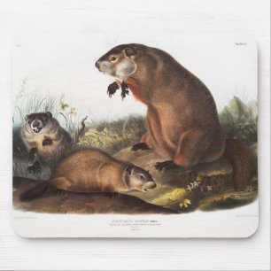 Woodchuck Camping Deco Gifts Muismat