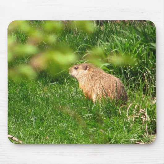 Woodchuck ~ mousepad muismat (Voorkant)