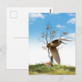 Woodcock Briefkaart (Voorkant / Achterkant)