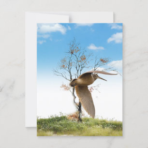 Woodcock Briefkaart