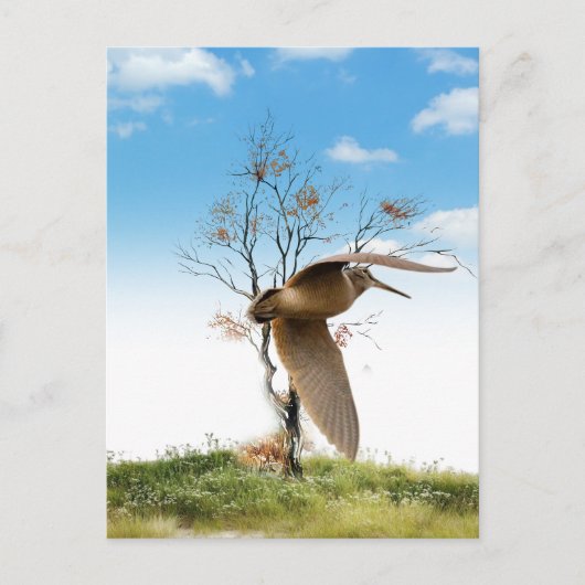 Woodcock Briefkaart (Voorkant)