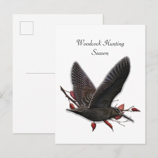 Woodcock Briefkaart (Voorkant / Achterkant)