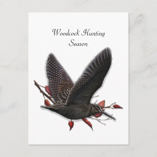 Woodcock Briefkaart (Voorkant)