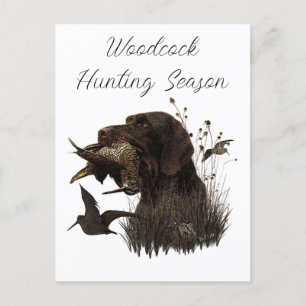 Woodcock Hunting met German Wirehaered Pointer Briefkaart