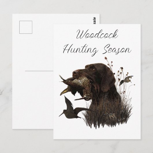 Woodcock Hunting met German Wirehaered Pointer Briefkaart (Voorkant / Achterkant)