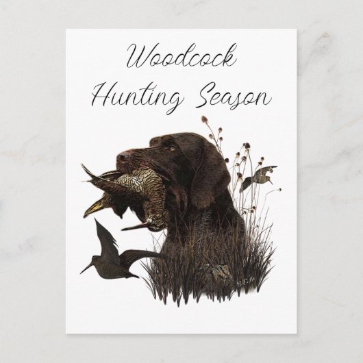 Woodcock Hunting met German Wirehaered Pointer Briefkaart (Voorkant)