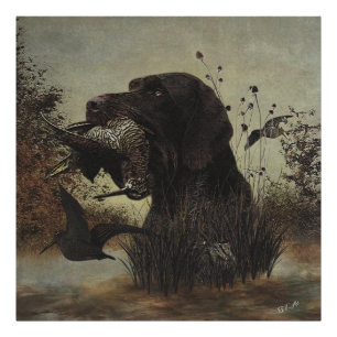 Woodcock Hunting met German Wirehaered Pointer Foto Afdruk