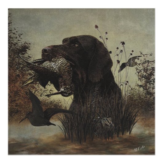 Woodcock Hunting met German Wirehaered Pointer Foto Afdruk (Voorkant)