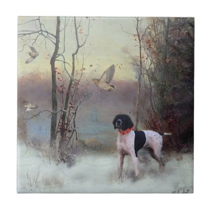Woodcock Hunting met SAP Tegeltje