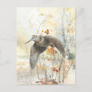 Woodcock Hunting Season Briefkaart