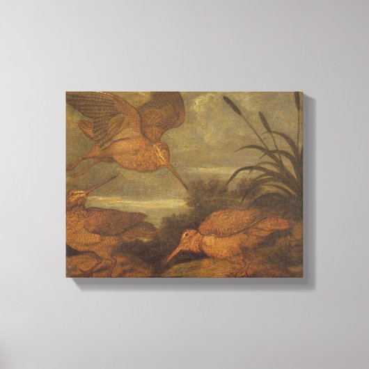 Woodcock te Dusk, c.1676 (olie op canvas) Canvas Afdruk (Voorkant)