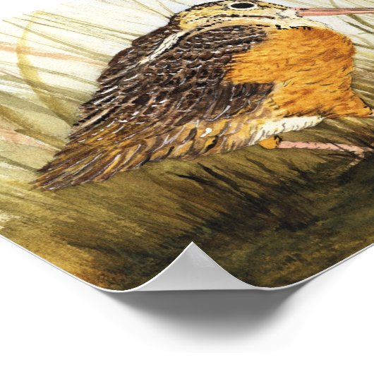 Woodcock (Timberdoodle) Poster (Hoek)