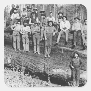 Woodcutters in Californië, 1891 Vierkante Sticker