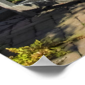 Wooden Bench in Lush Garden Poster (Hoek)