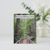 Wooden Bridge en Sequoias | Nationaal park Redwood Briefkaart (Staand voorkant)