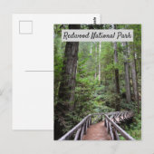 Wooden Bridge en Sequoias | Nationaal park Redwood Briefkaart (Voorkant / Achterkant)