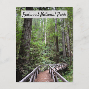 Wooden Bridge en Sequoias Nationaal park Redwood Briefkaart