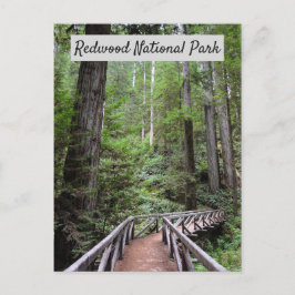 Wooden Bridge en Sequoias | Nationaal park Redwood Briefkaart