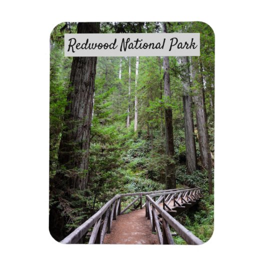 Wooden Bridge en Sequoias | Nationaal park Redwood Magneet (Verticaal)