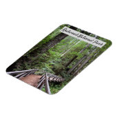 Wooden Bridge en Sequoias | Nationaal park Redwood Magneet (Linkerzijde)