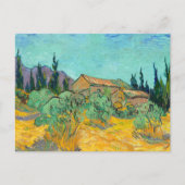 Wooden Cabins among the Olive Trees and Cypresses Briefkaart (Voorkant)