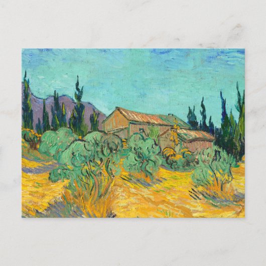 Wooden Cabins among the Olive Trees and Cypresses Briefkaart (Voorkant)