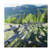 Wooden Fenceline Tegeltje (Voorkant)