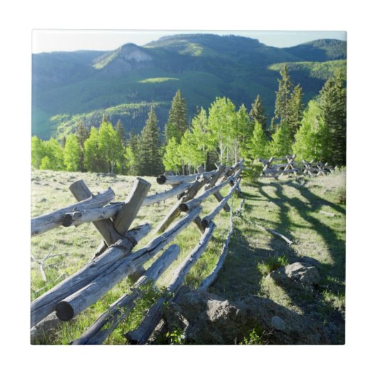 Wooden Fenceline Tegeltje (Voorkant)