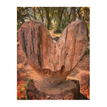 Wooden Heart