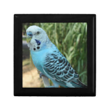 Wooden Jewelry Keepomwille Box