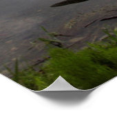 Wooden kayak aan de kust van het meer van Beaver Poster (Hoek)