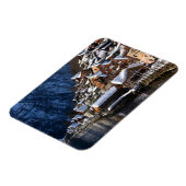 Wooden lakeside houses in Hallstatt, Oostenrijk Magneet (Linkerzijde)