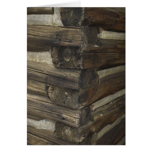 Wooden Pioneer Cabin (Voorkant)