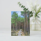 Wooden trail in pine forest briefkaart (Staand voorkant)