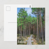 Wooden trail in pine forest briefkaart (Voorkant / Achterkant)
