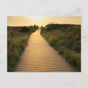 Wooden Walkway to Beach Briefkaart