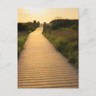 Wooden Walkway to Beach Briefkaart