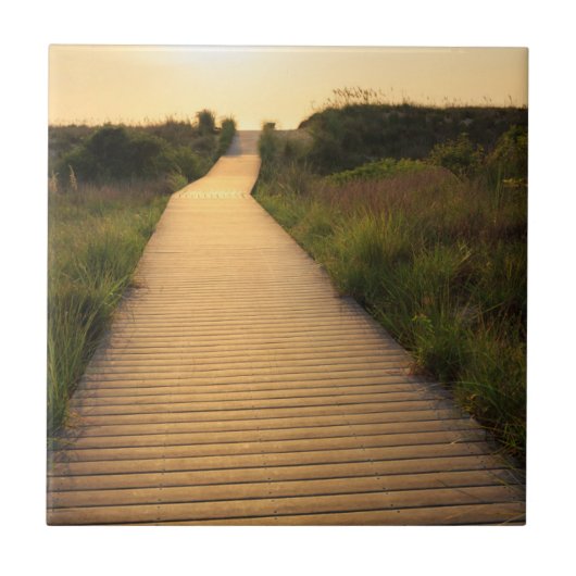 Wooden Walkway to Beach Tegeltje (Voorkant)